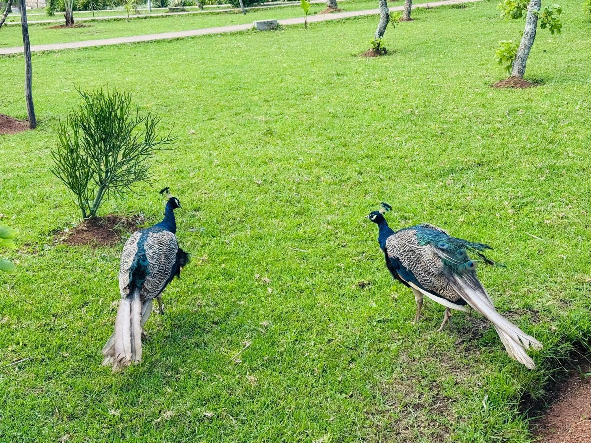 Sibebe Resort Mbabane Esterno foto